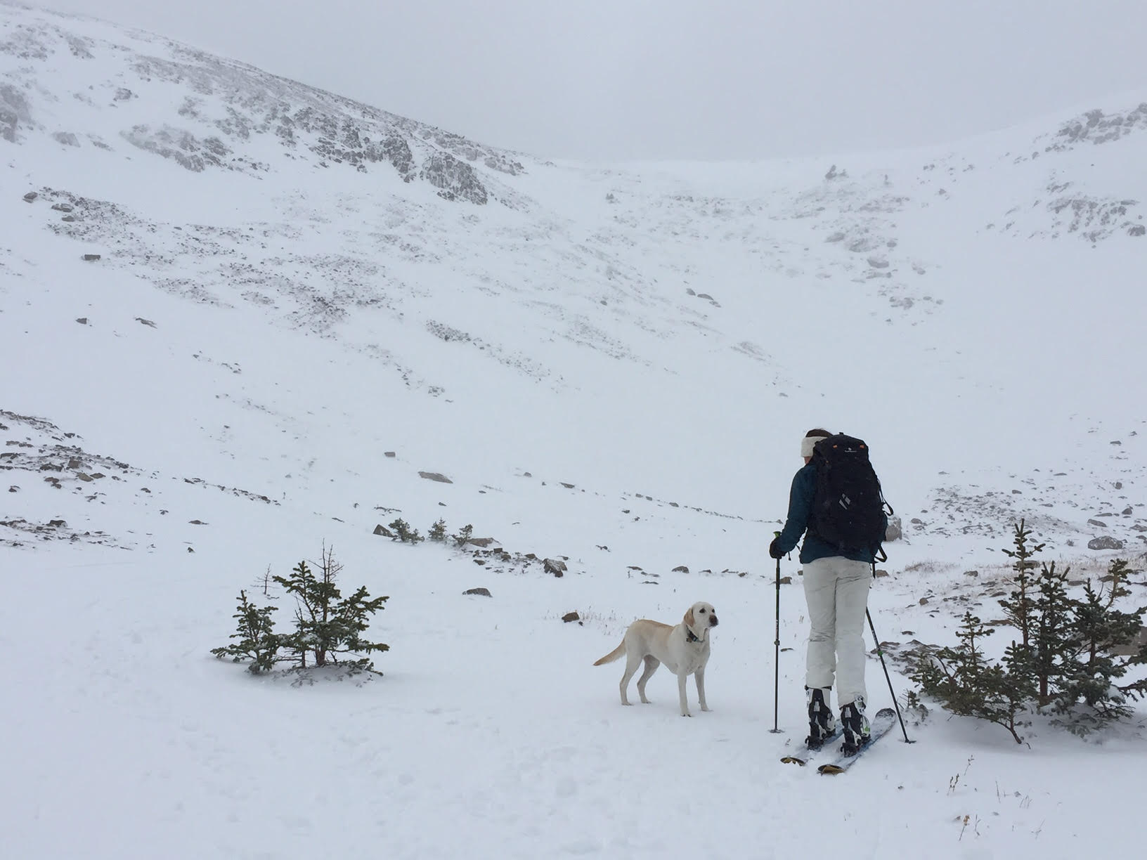 Winter Starts: Sacajewea Bowl_1