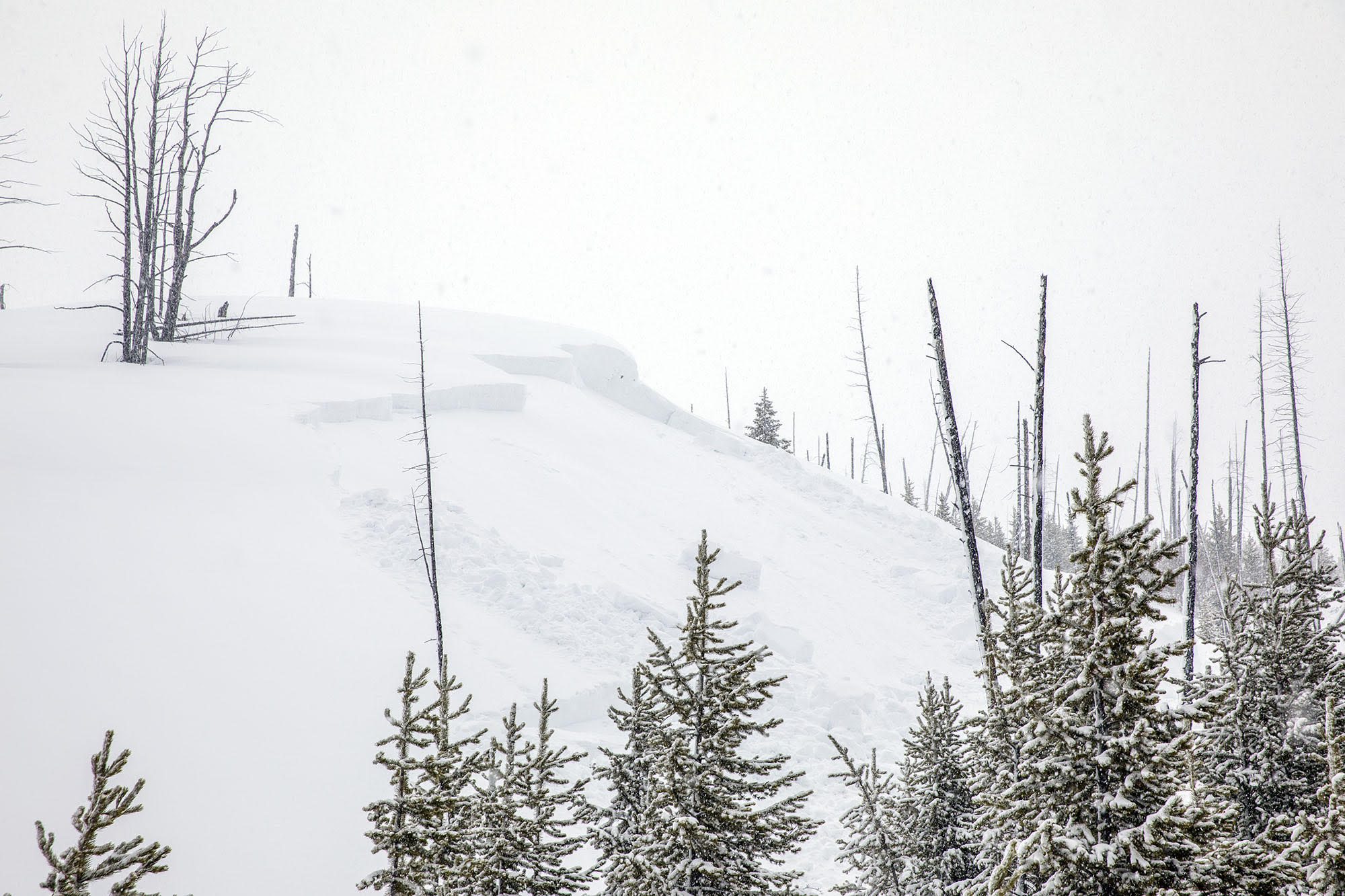 Avalanche near Lulu Pass road 2, Cooke 10-Feb