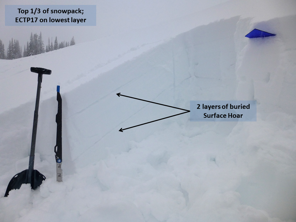 Two Layers of Buried Surface Hoar