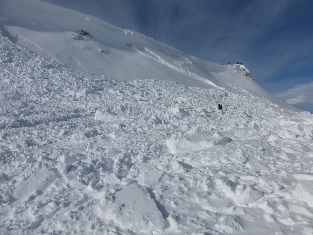 Avalanche Debris Cooke City - 2/6/15