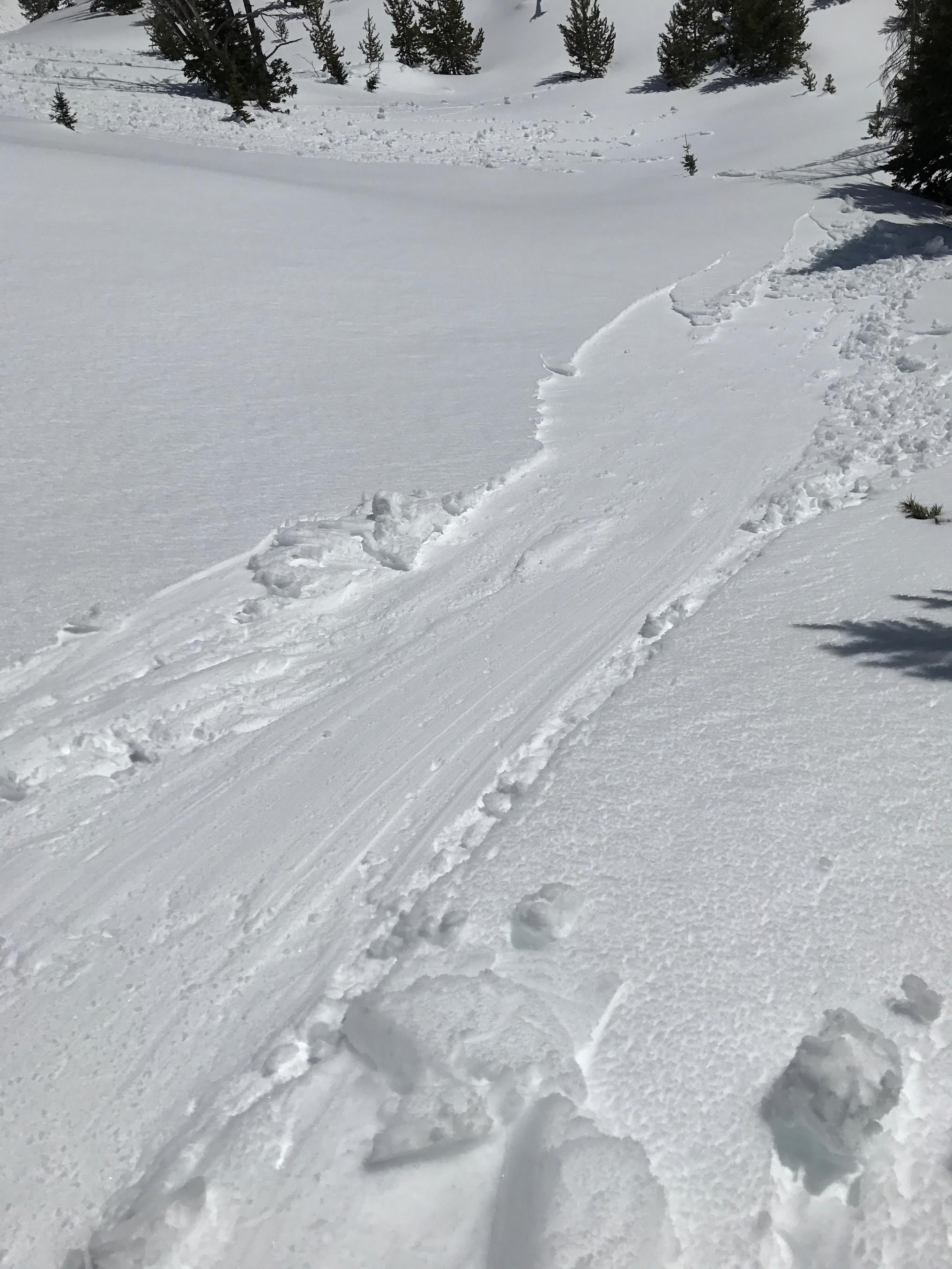 Wet loose avalanche, Cooke City 