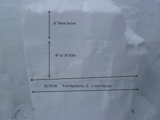 Bacon Rind Snowpack